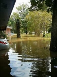 Photo courtesy of Paige Colwell