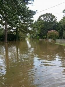 Photo courtesy of Paige Colwell