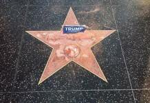 trumps star