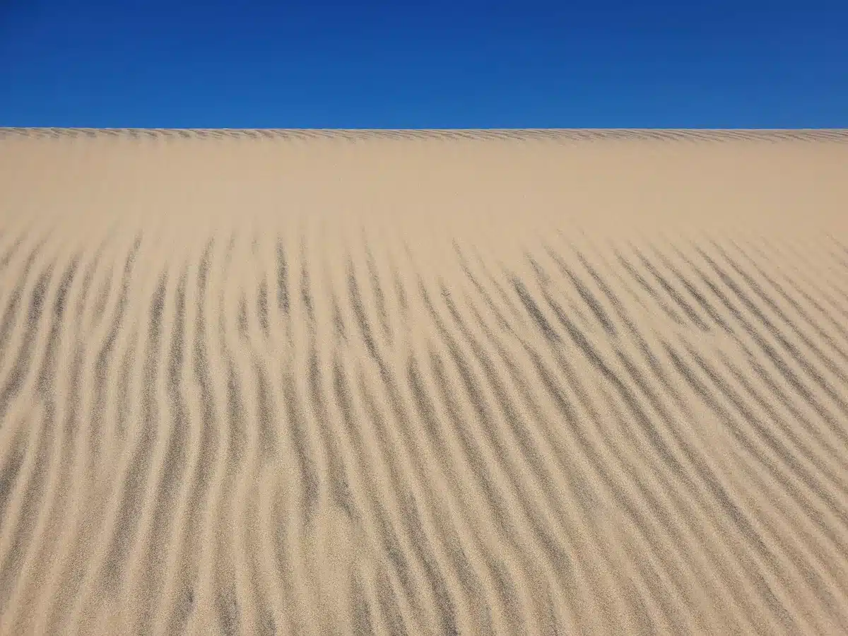 empty