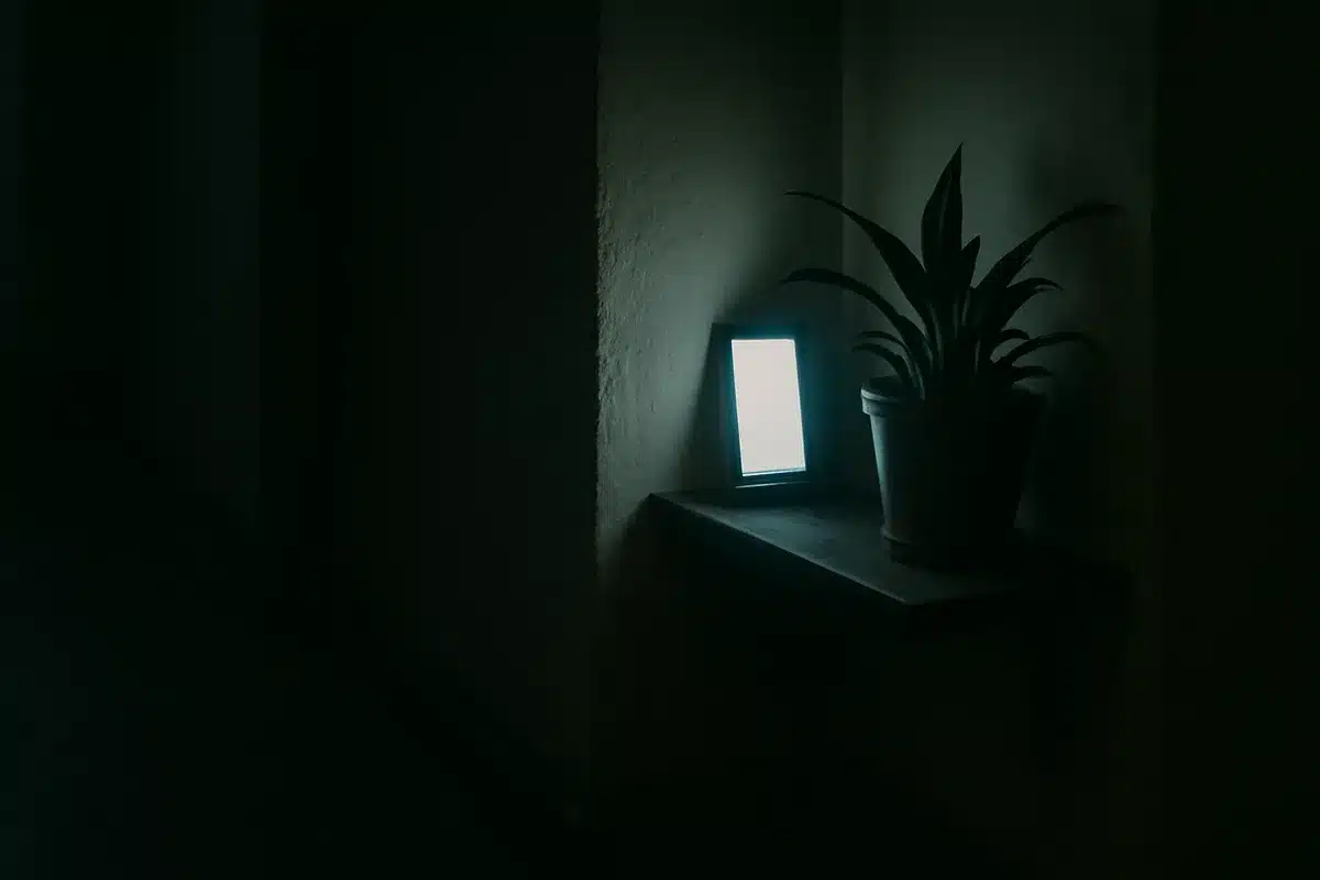 Give your old phone new life as a security camera