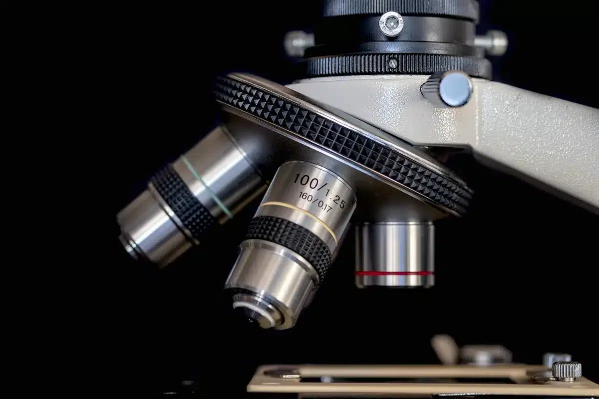 Microscope slide and brain tissue samples in a lab showing neuropathology research