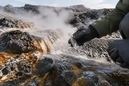 Amoeba from the Cascades survives at highest temperature recorded for complex life