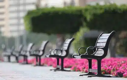 Structured tote and compact crossbody on a wooden bench in an urban courtyard