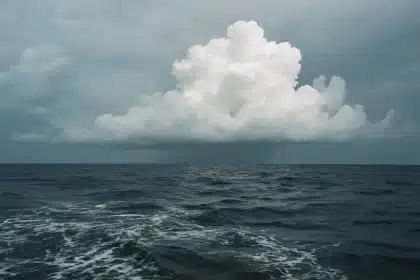 Did the super El Niño fuel Hurricane Polo's rapid overnight intensification?