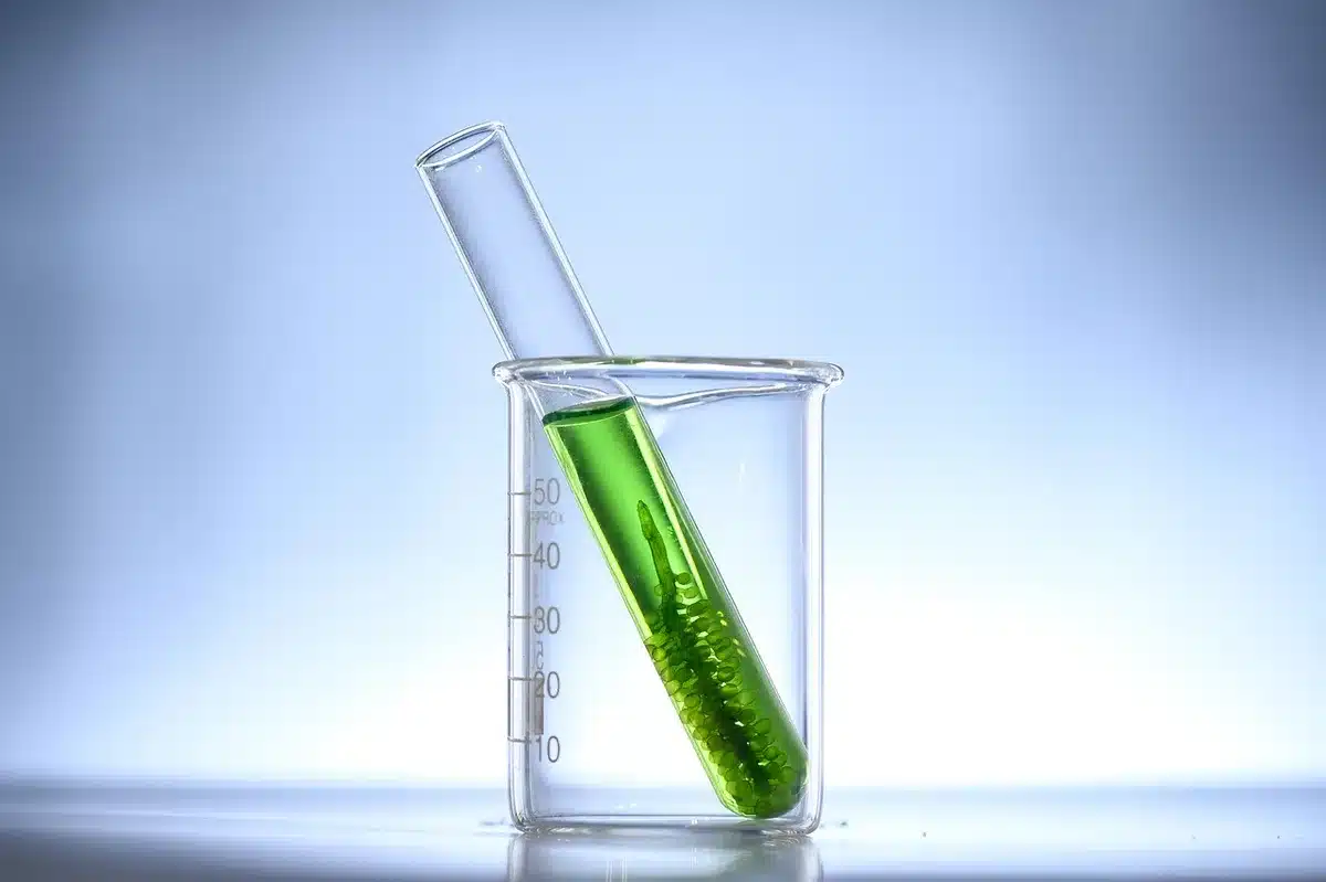 Laboratory dish with cultured neurons derived from stem cells