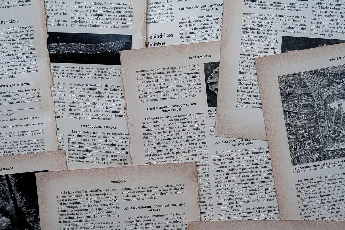 Journalist reviewing source documents and notes to verify facts